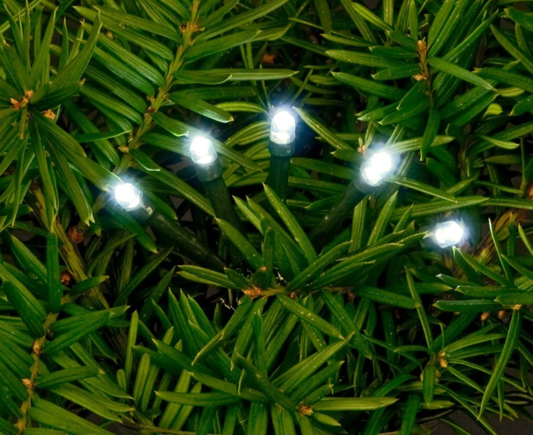 Anna's Collection Kerstlichtsnoeren^ Kerstverlichting - Helder Wit - 80 Leds - 8M - Dimmer-Timer