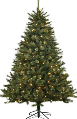 Black Box Kunstkerstbomen^ Kunstkerstboom Led Toronto Fir Maat In Cm: 230 X 155 Groen 320 Lampjes Met Warmwit Led - Groen