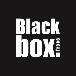 Black Box Trees Glendon Guirlande Met Led Verlichting - L270 Cm - Groen Online