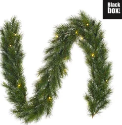Black Box Trees Glendon Guirlande Met Led Verlichting - L1000 Cm - Groen Outlet