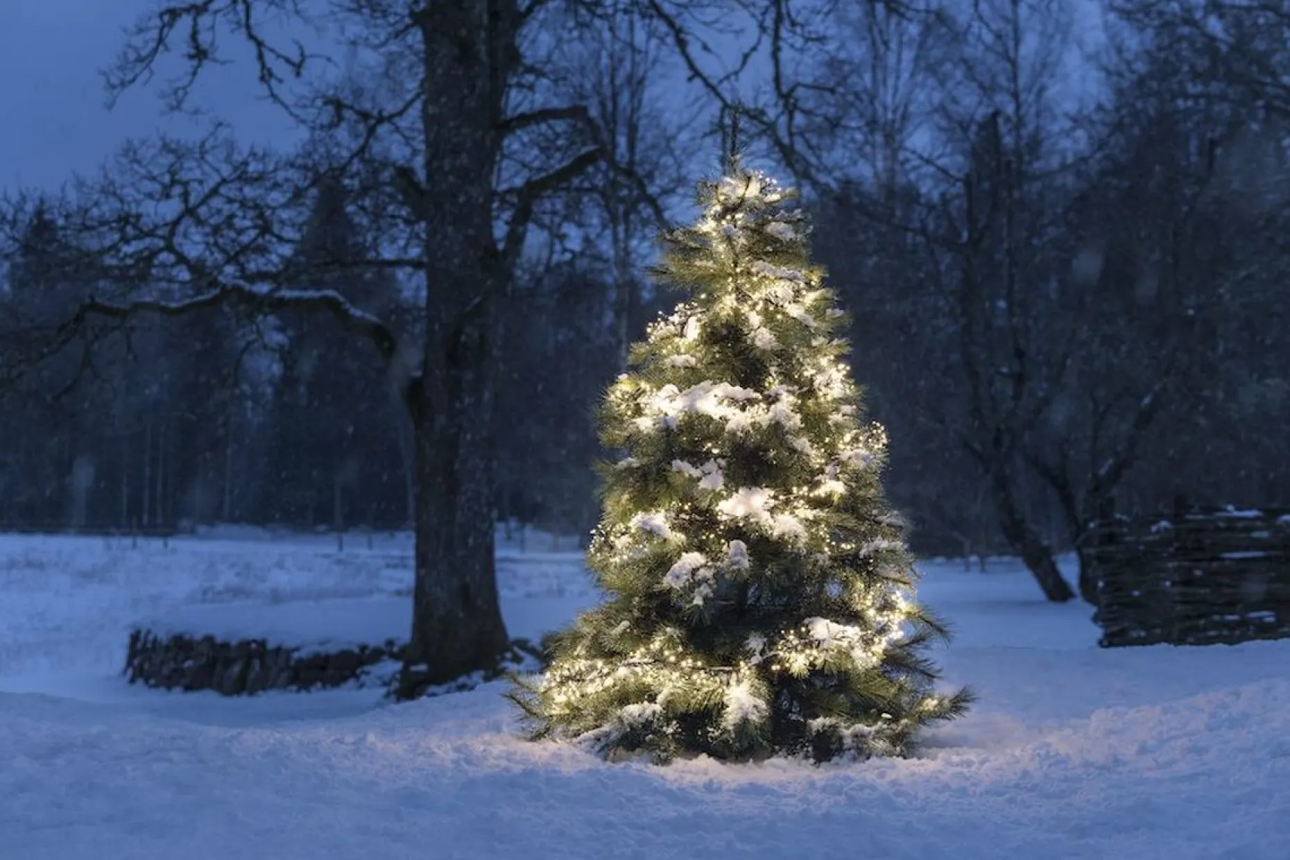Konst Smide Kerstlichtsnoeren^Clusterverlichting Voor Binnen En Buiten - 8 Functies - 960 Leds – 2100K Amber – 7,2 Meter – Kerstverlichting – Ip44 – Incl. Transformator