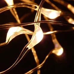 Anna's Collection Kerstlichtsnoeren^Koper Kerstverlichting Met Timer 20 Led Lampjes 1 Meter