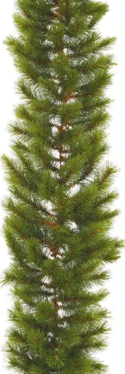 Triumph Tree Richmond Guirlande - L270 Cm - Groen Online