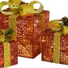 vidaXL Verlichte Kerstfiguren^ Kerstdecoratie Geschenkdozen 3 St Binnen/Buiten Rood