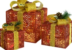vidaXL Verlichte Kerstfiguren^ Kerstdecoratie Geschenkdozen 3 St Binnen/Buiten Rood