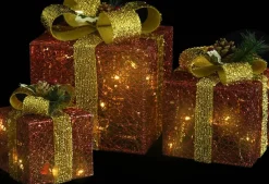 vidaXL Verlichte Kerstfiguren^ Kerstdecoratie Geschenkdozen 3 St Binnen/Buiten Rood