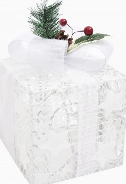 vidaXL Verlichte Kerstfiguren^ Kerstdecoratie Geschenkdozen 3 St Binnen/Buiten Wit