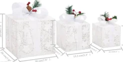 vidaXL Verlichte Kerstfiguren^ Kerstdecoratie Geschenkdozen 3 St Binnen/Buiten Wit