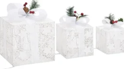 vidaXL Verlichte Kerstfiguren^ Kerstdecoratie Geschenkdozen 3 St Binnen/Buiten Wit