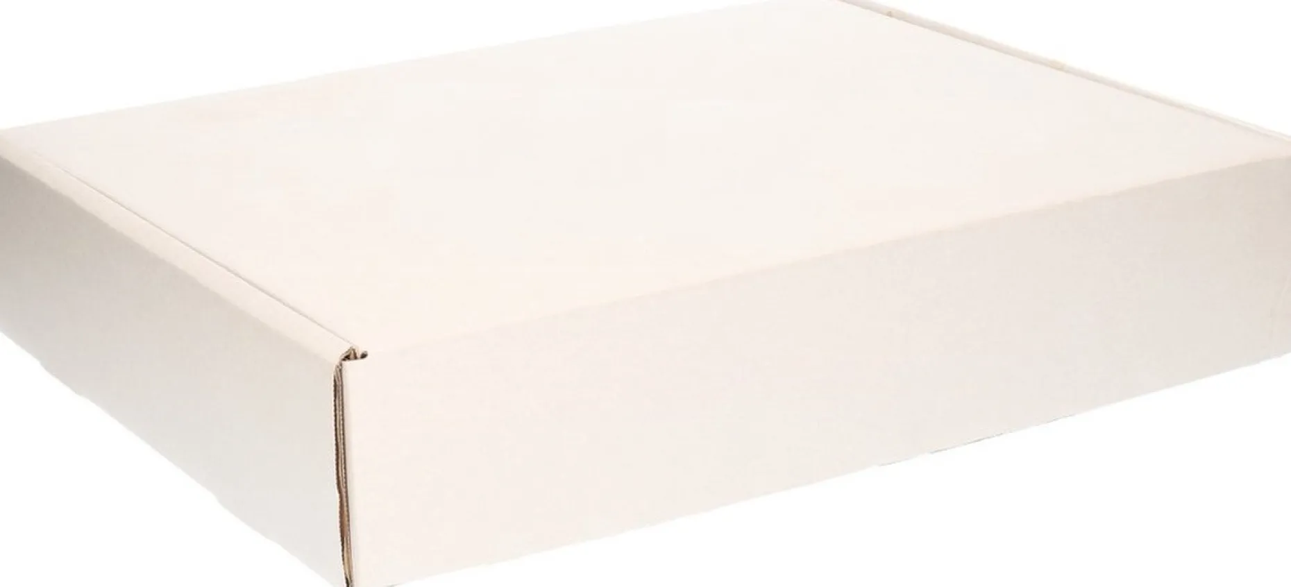 Bellatio Decorations Kerstspullen Opbergers^3X Kerstballen Opbergen Opbergboxen Voor Kerstballen Van 8 Cm - Opbergdozen/Sorteerdozen - Met 20X 8 Cm Vakken - 2 Stuks