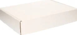 Bellatio Decorations Kerstspullen Opbergers^4X Kerstballen Opbergen Opbergboxen Voor Kerstballen Van 8 Cm - Opbergdozen/Sorteerdozen - Met 20X 8 Cm Vakken - 2 Stuks